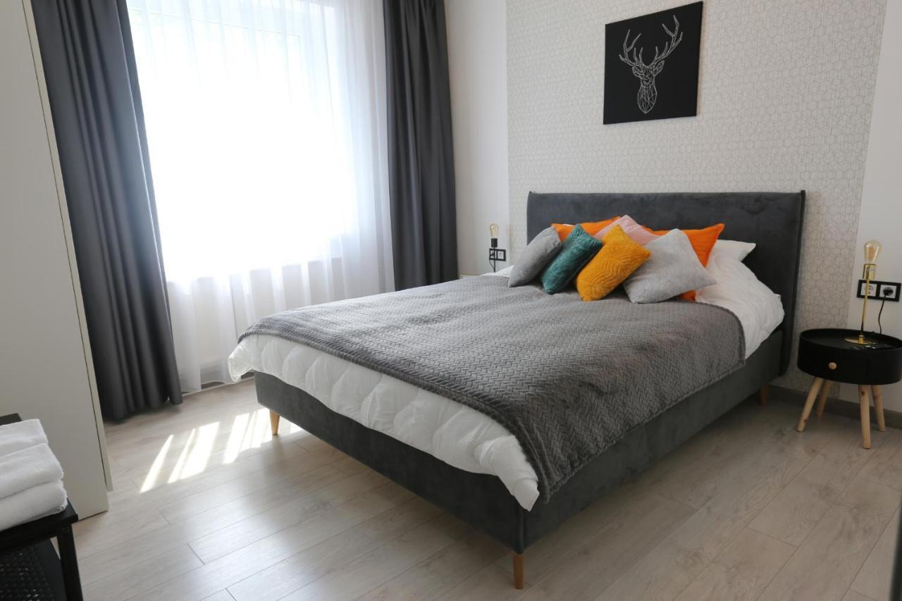 Comfy 2 Room Apartment - Free Parking - 350Mbps Wifi - Netflix 考纳斯 外观 照片